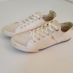 Superdry mens canvas sneakers